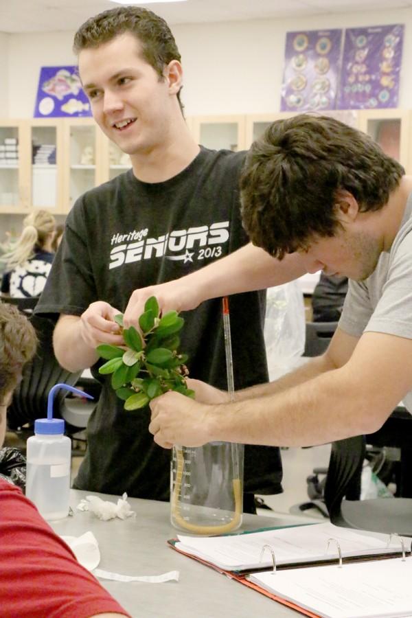 Students Nicholas Trum ,Left, and Danny Williamson prepare their plant for a transpiration experiment.