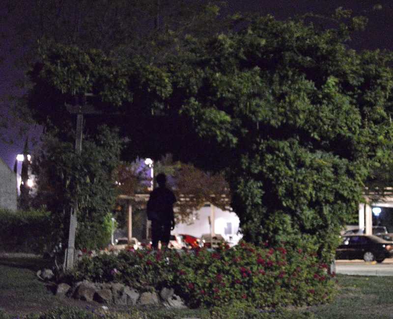 A figure waits waits in the dark in front of the Music building.