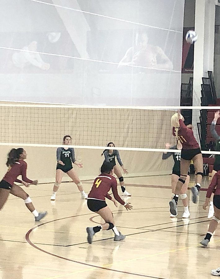 LMC Mustangs spiking the ball back to Shasta College.