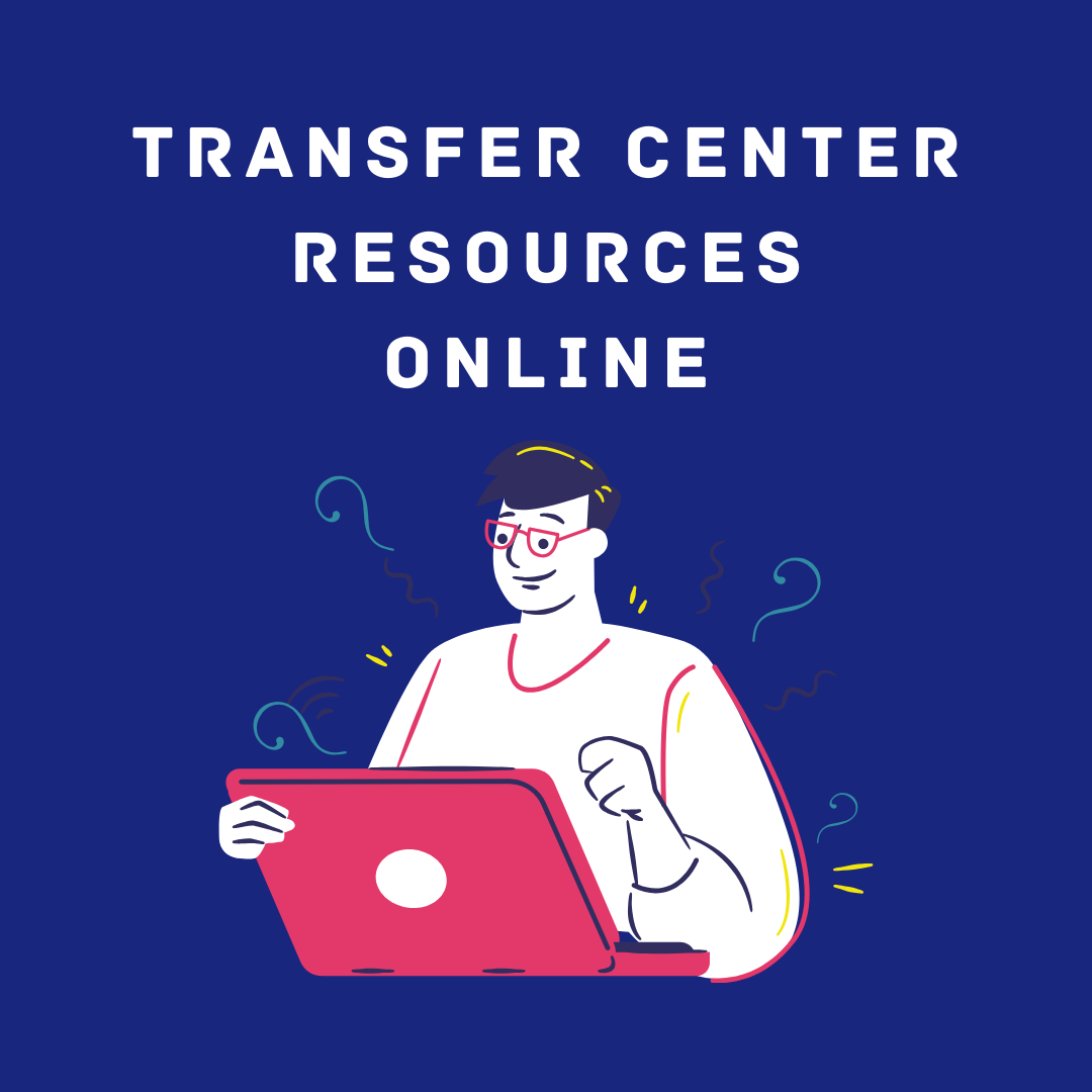 Transfer Services move online – Experience