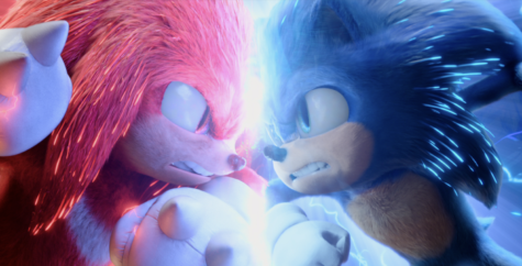 Knuckles (Idris Elba)and Sonic (Ben Schwartz) fighting in Sonic the Hedgehog 2 (2022).