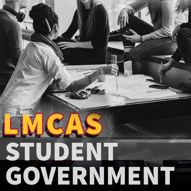 Graphic from Student Life page on the LMC website.