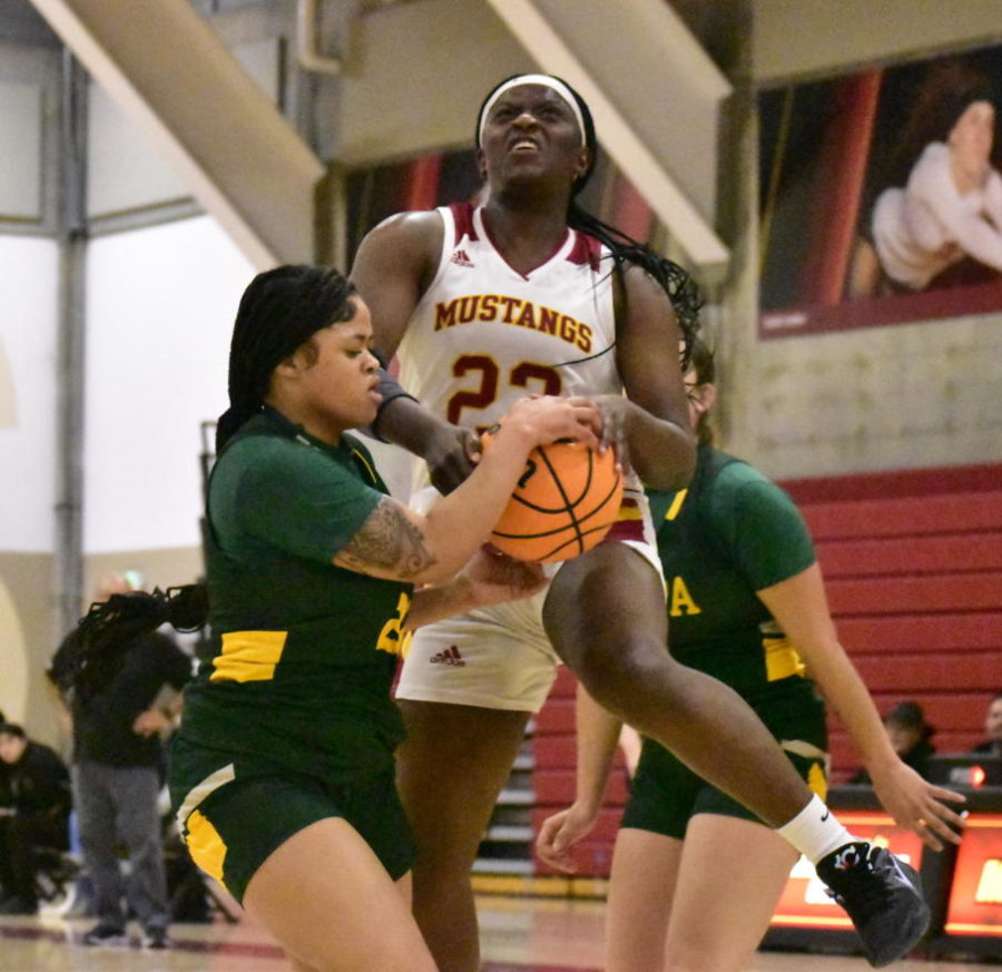 Turnovers cost LMC womens basketball team the game