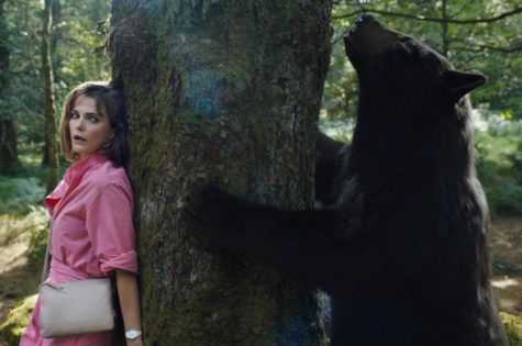 Cocaine Bear shadows 1985 story