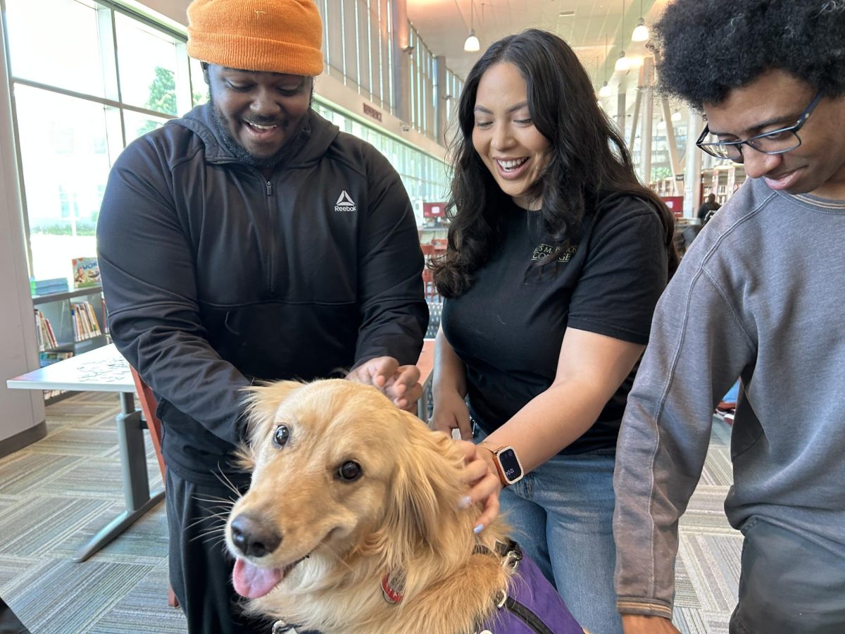 Isaiah Grogan, Cristina Navarrete, and Cameron Bluford pat Dolce, the Hug Pack Therapy dog