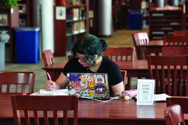 Student Arielitzy Vieyra utilizes silent study area in library.