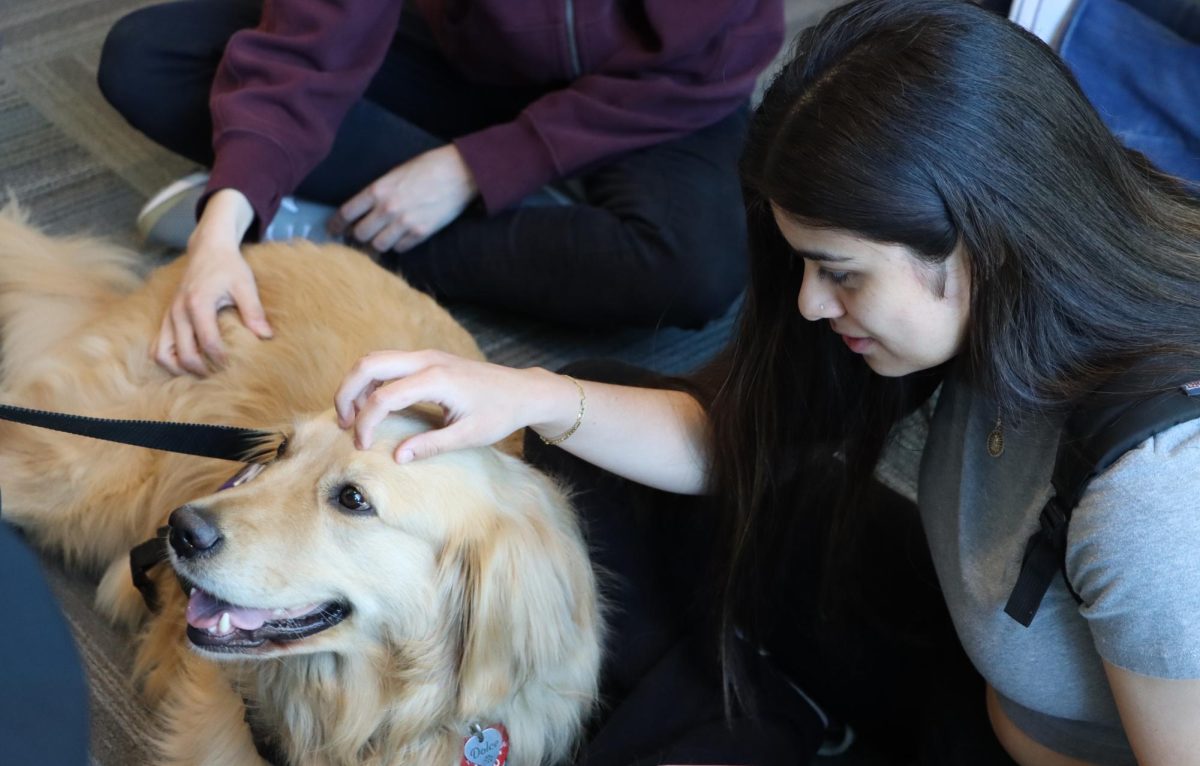 Students pet therapy dog Dolce at Hug Pack event last semester at the Pittsburg Campus Library