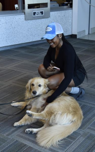 Student petting therapy dog Dolce laying down in the Pittsburg Campus Library, Oct. 15.