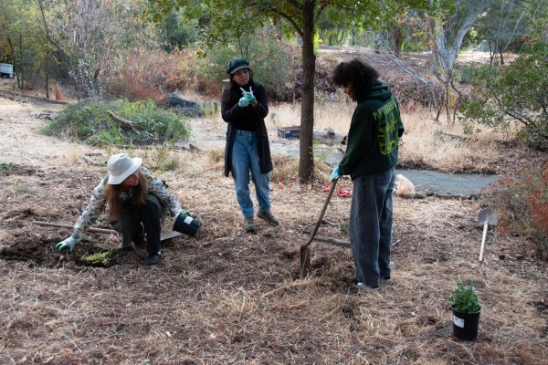 From left: Eloine Chapman, Jenica Perez and Emersyn Jureidini replenish the LMC nature preserve.