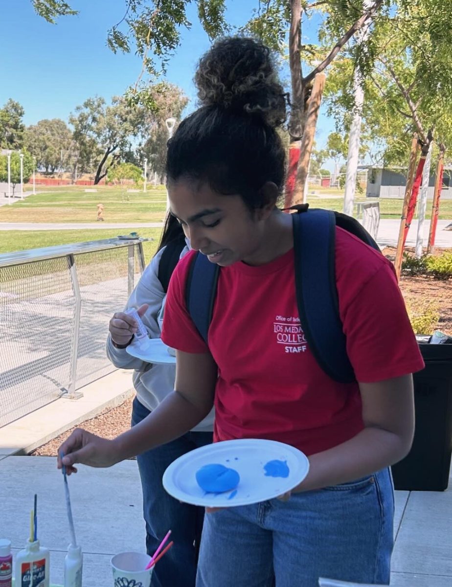 Student Life Ambassador Tenisha Manoharan paints a rock at the Paint a Pet Rock event on campus last semester outside of the Student Union Lounge.