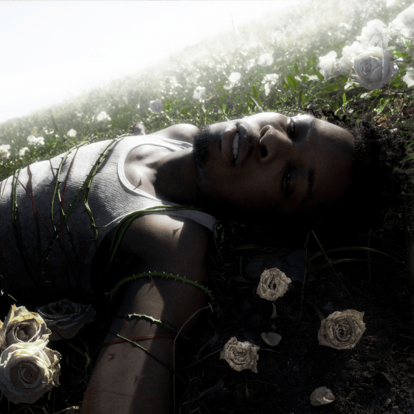 D4vd's new album "Withered" released on April 25, 2025