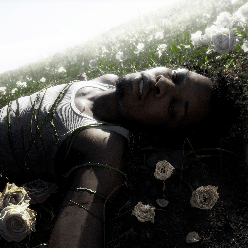 D4vd's new album "Withered" released on April 25, 2025