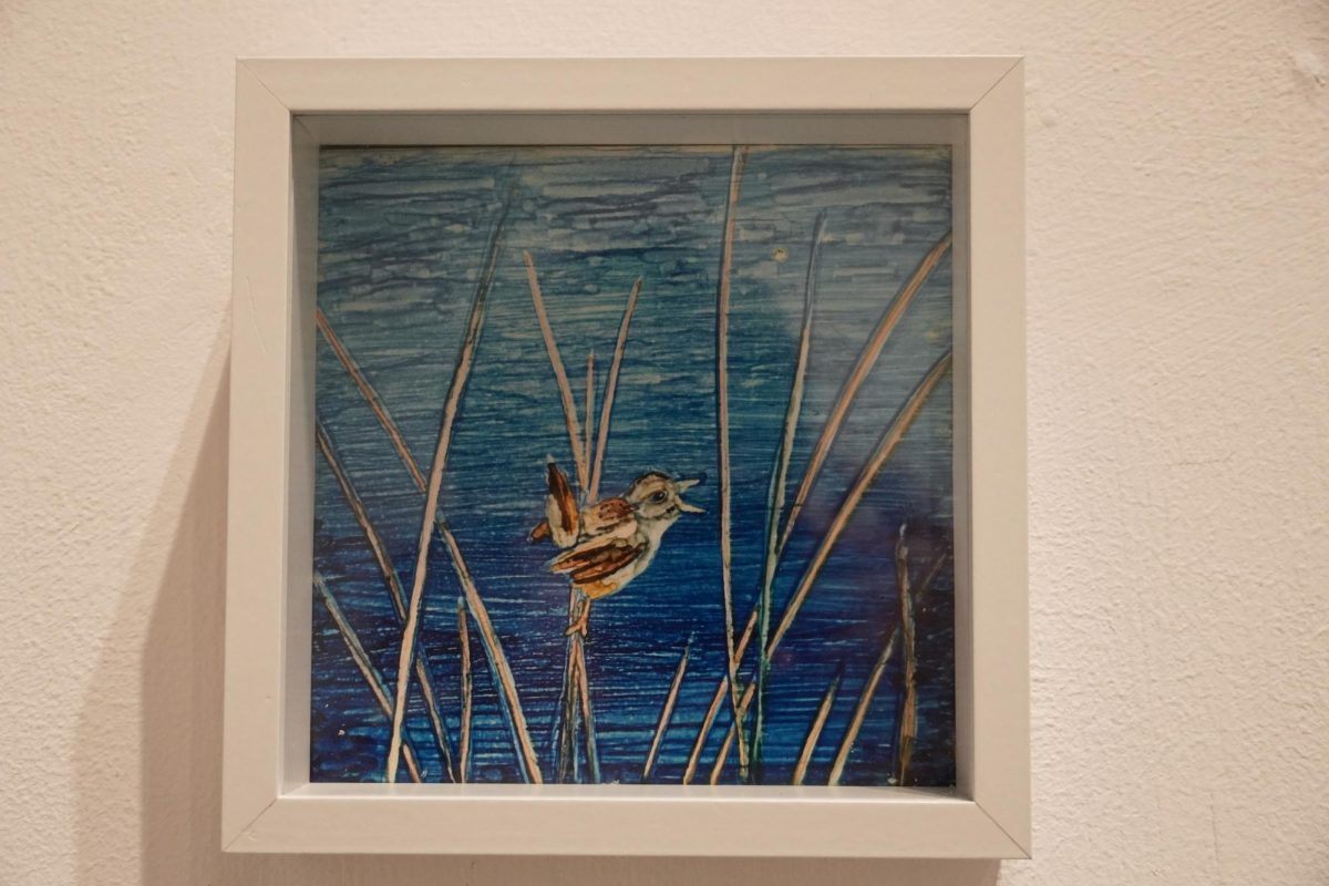 "LMC Clutching Sparrow" by Eloine Chapman