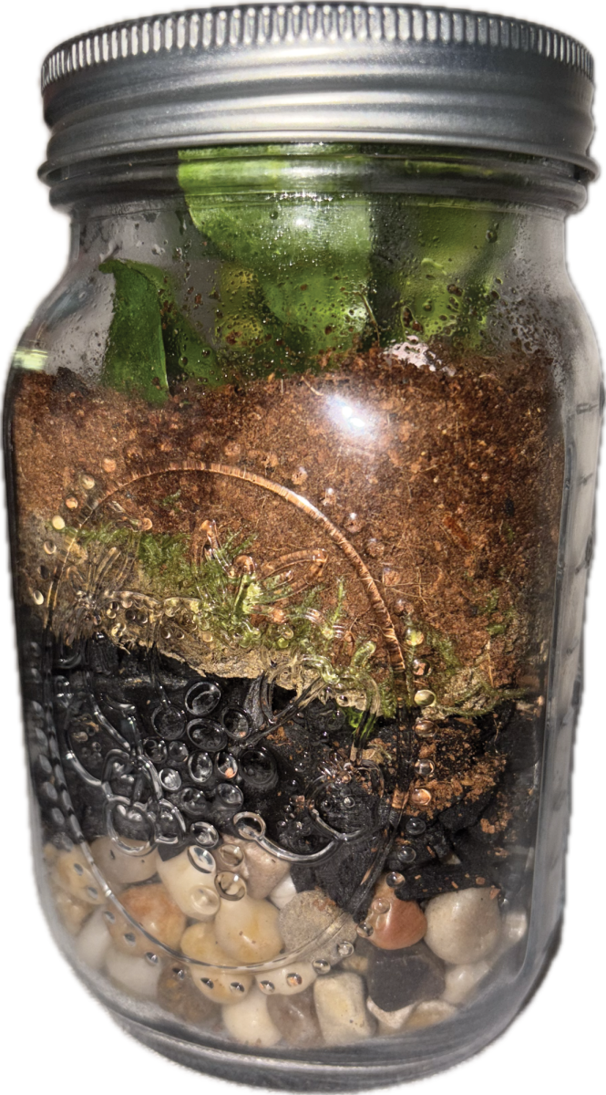 One of the terrariums created during the workshop.