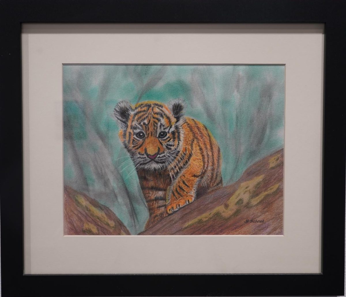 'Baby Tiger'